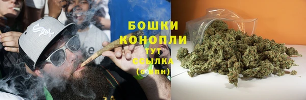 эйфоретик Козловка