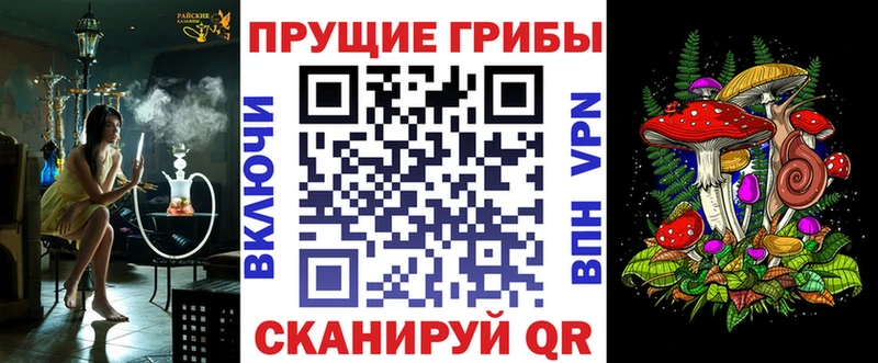 Купить где  Безенчук  Псилоцибиновые грибы мицелий 
